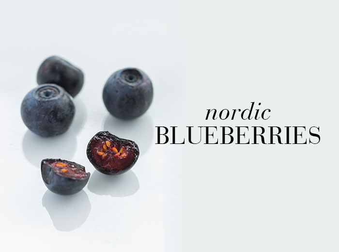w_Blueberries_JBP5298_NewNordic_IG_1369_J_INT_700x700_Nordic